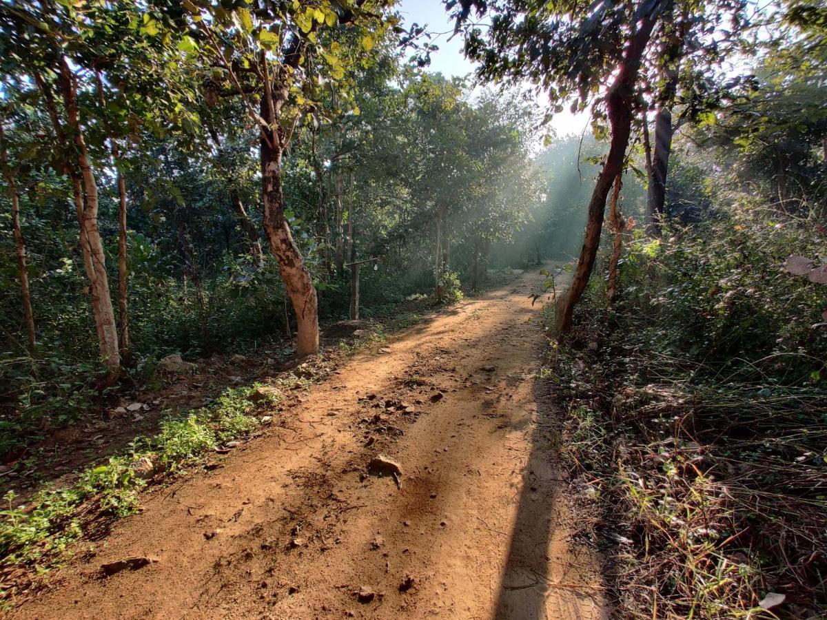 Surwahi Social Ecoestate Kanha Apartment Luaran gambar