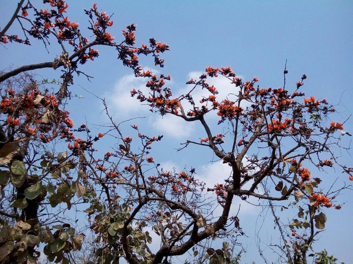 Surwahi Social Ecoestate Kanha Luaran gambar
