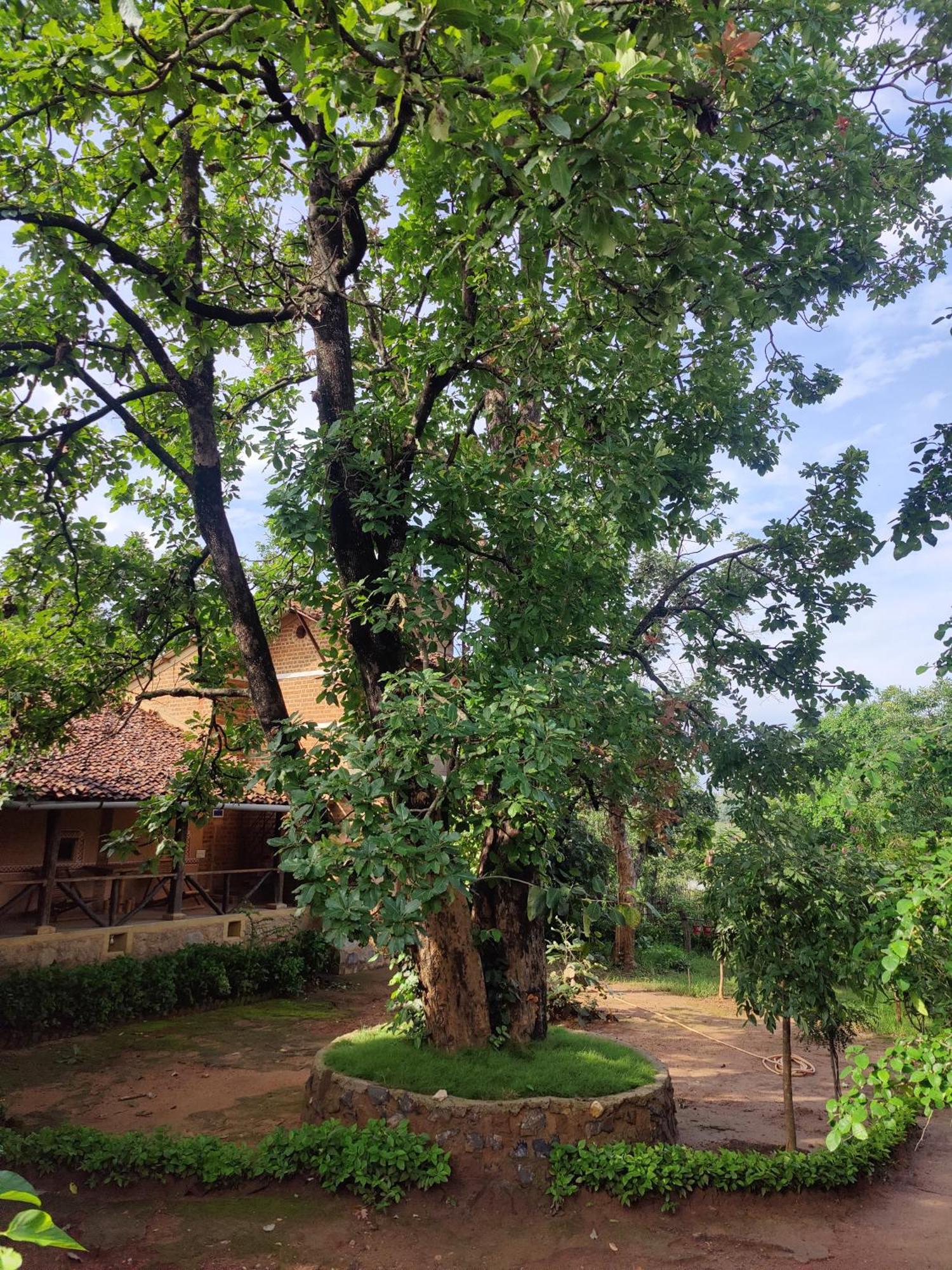 Surwahi Social Ecoestate Kanha Apartment Luaran gambar