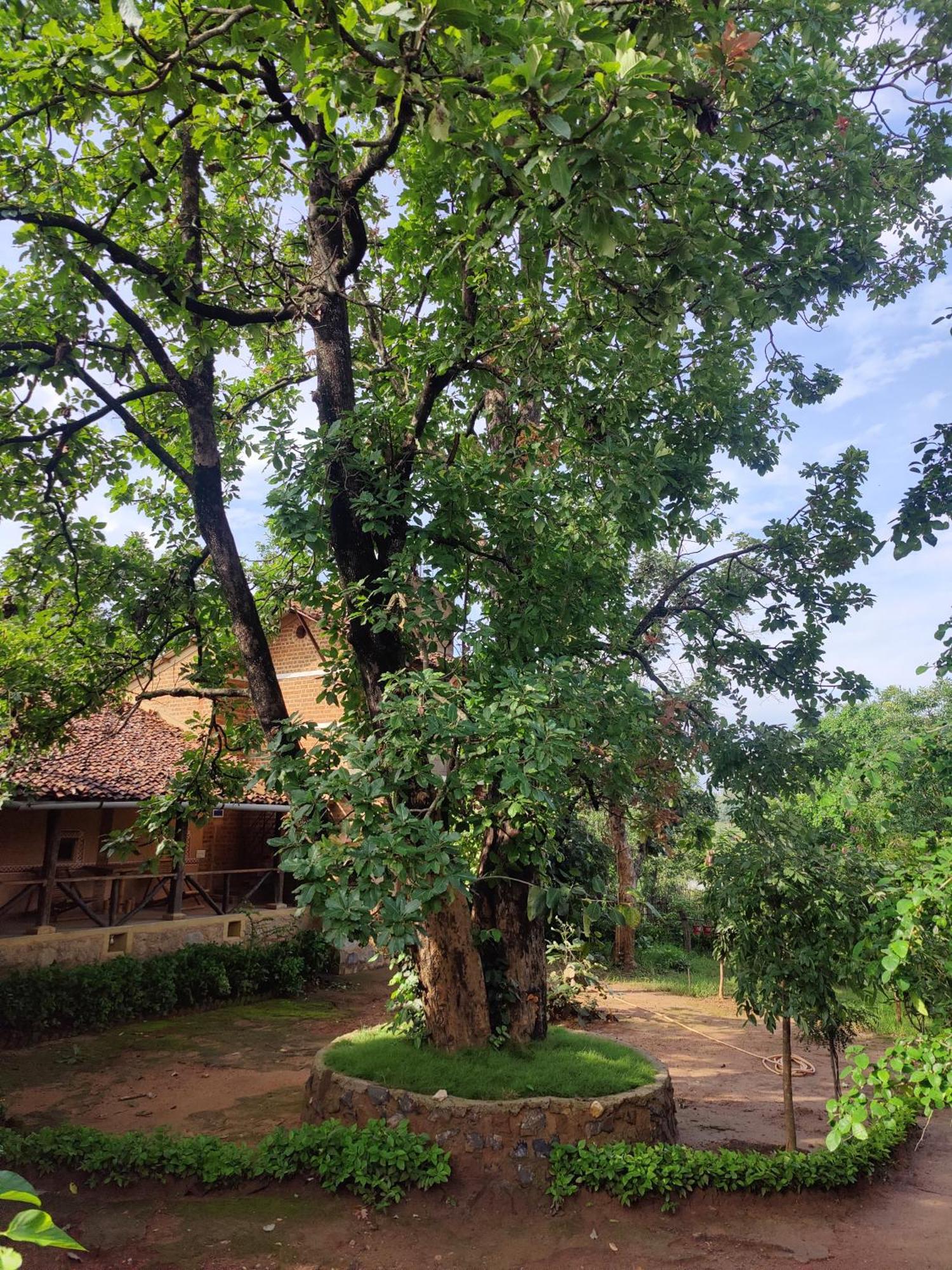 Surwahi Social Ecoestate Kanha Luaran gambar