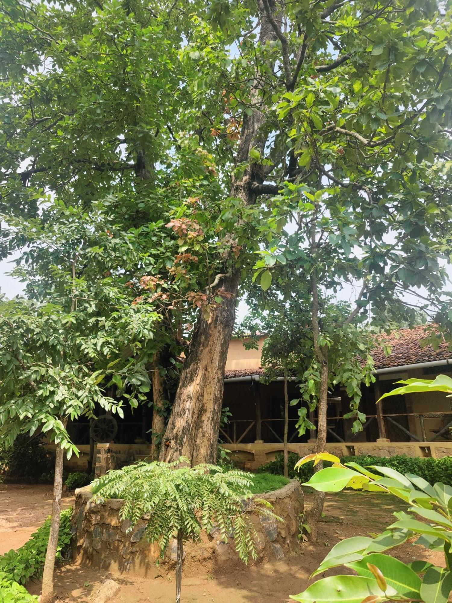 Surwahi Social Ecoestate Kanha Luaran gambar