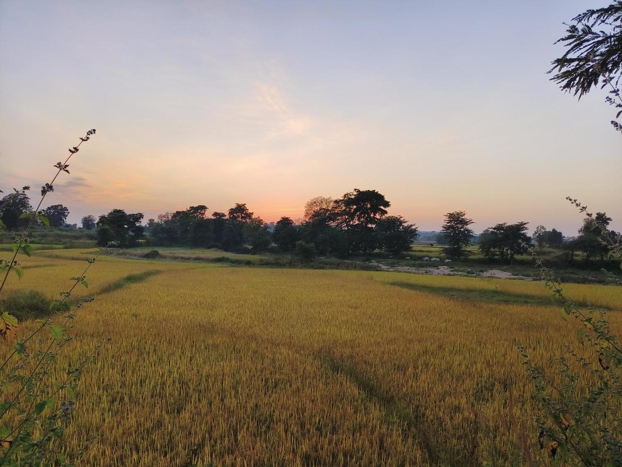 Surwahi Social Ecoestate Kanha Luaran gambar