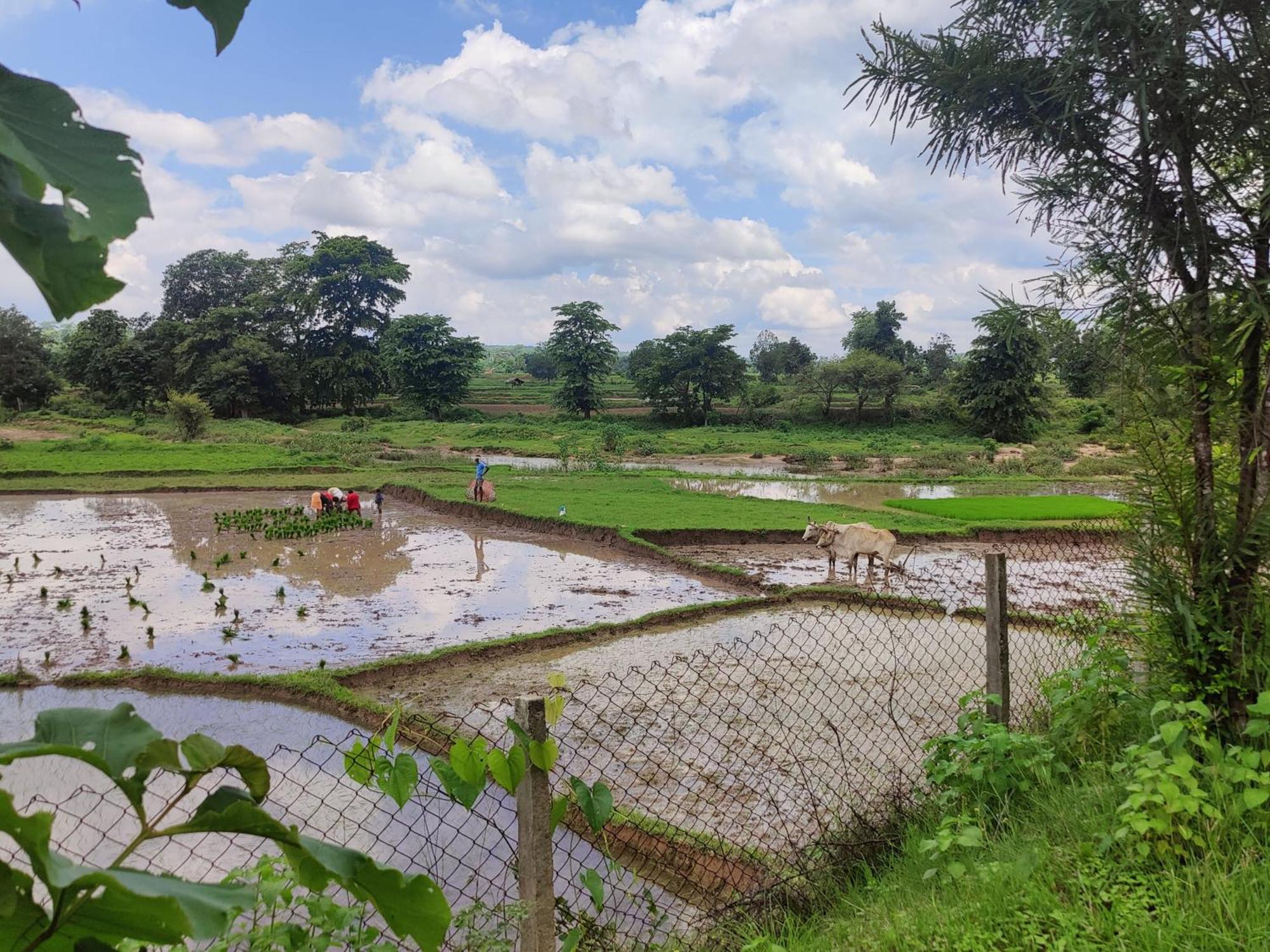 Surwahi Social Ecoestate Kanha Luaran gambar